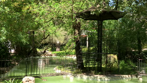 Beau-Séjour-Garden,-with-an-old-metal-structure-that-goes-over-the-lake,-many-trees-and-green-water,-Lisbon