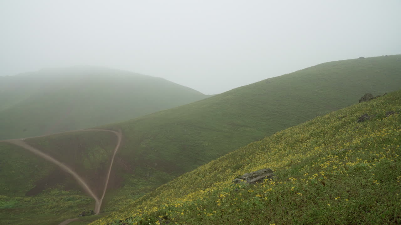lomas de manzano, pachacamac, lima, peru에서 지나가는 안개의 스틸 샷