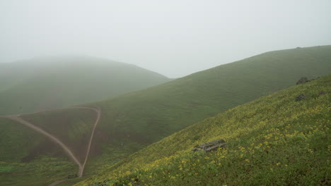 lomas de manzano, pachacamac, lima, peru에서 지나가는 안개의 스틸 샷