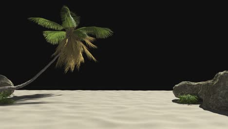 tropical landscape, beach with palm trees and stones on a transparent background with alpha channel.