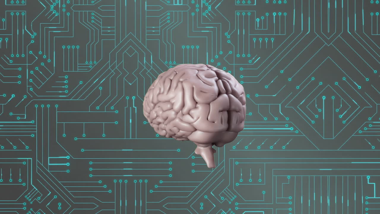 Animation of human brain and data processing on circuit board