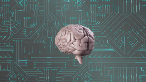 Animation-of-human-brain-and-data-processing-on-circuit-board