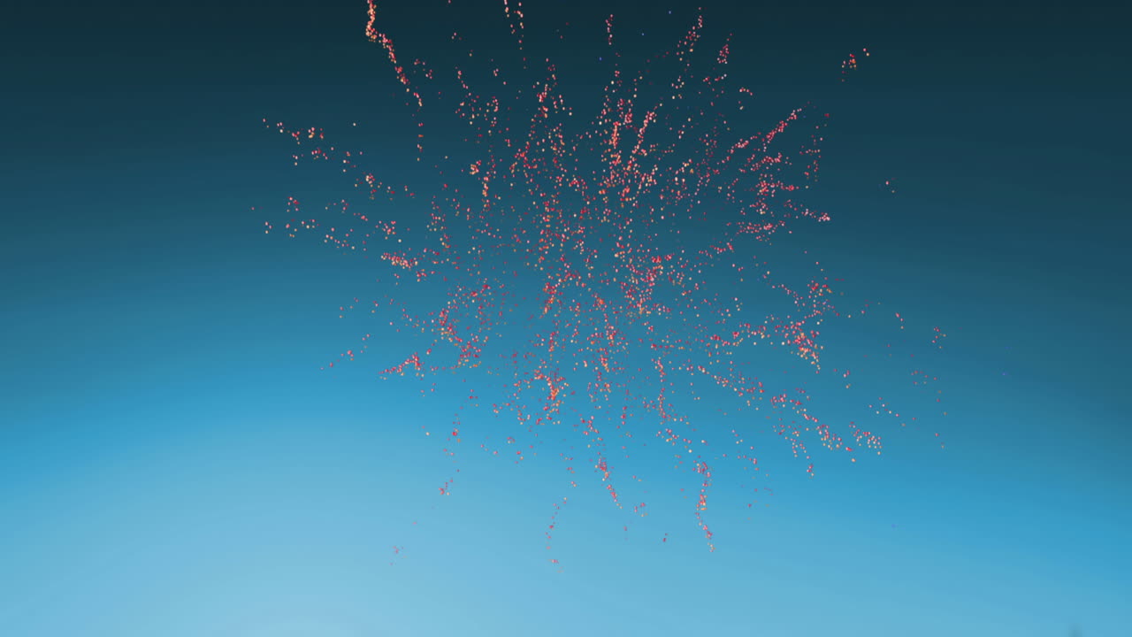 Fireworks in the sky