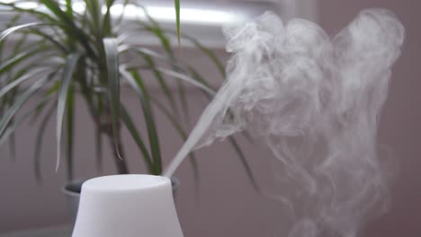 essential oil diffuser misting inside bedroom