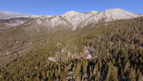 aerial pull away from mountains and over douglas fir trees and a tiny bit of road in lake tahoe, nevada on a beautiful blue sky winter day