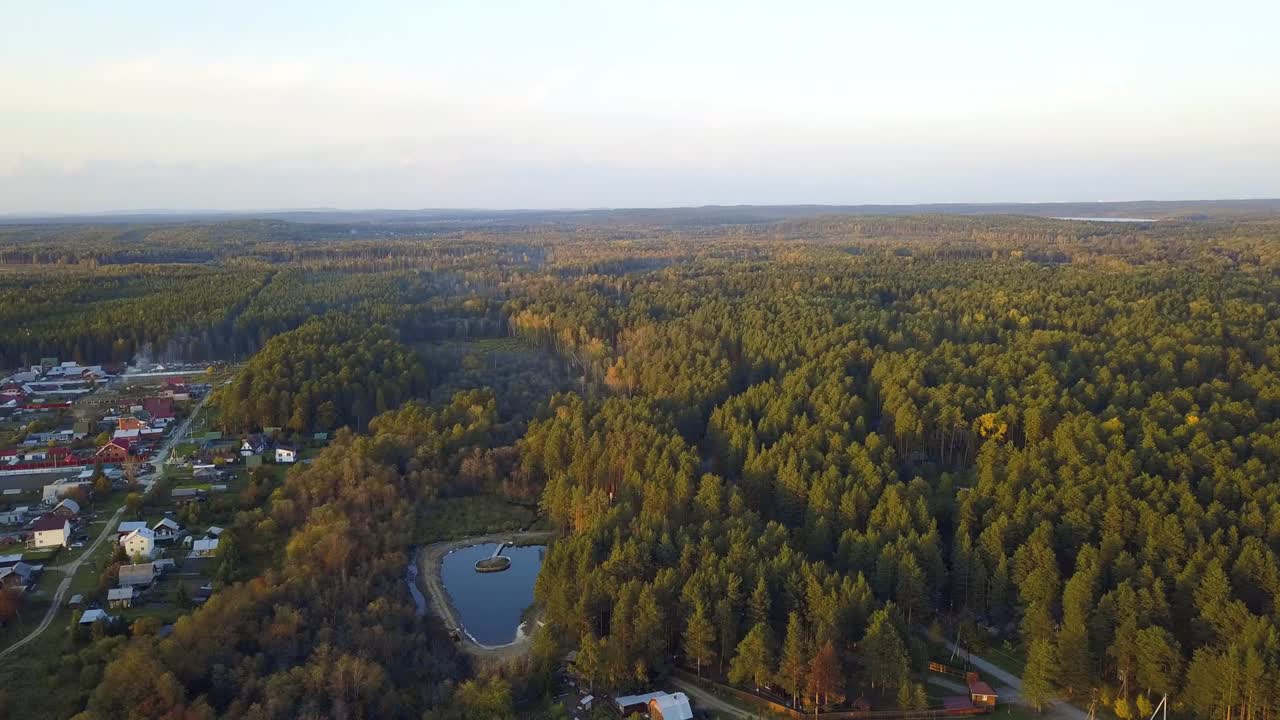 소나무 숲 에 자리 잡은 마을 의 공중 사진
