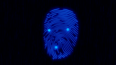 blue fingerprint and circle scan with curtain 4k 3d animation