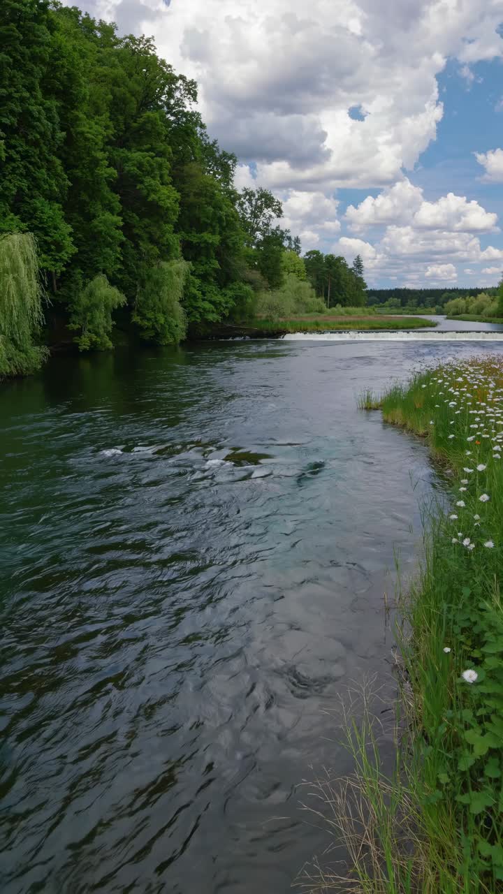 Serene river landscape with lush greenery and a cloudy sky, captured from a low-angle perspective