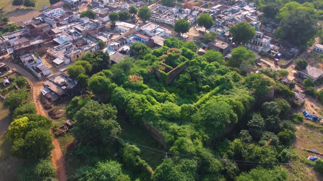 Aerial shot of a fort covered with forest in a village of north india