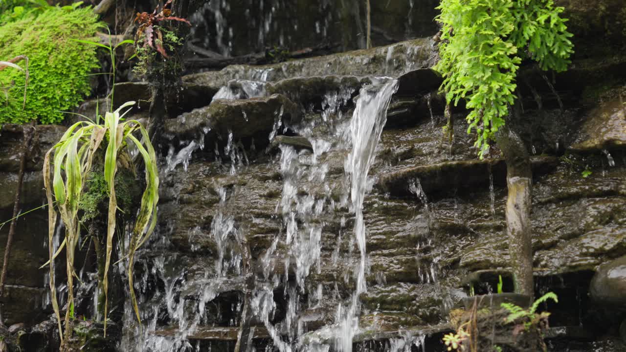 Slow-motion shot of a tiny waterfall surrounded by small plants