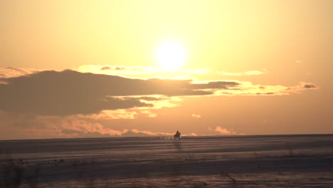 silhouette of a woman riding a horse with a beautiful sunset behind