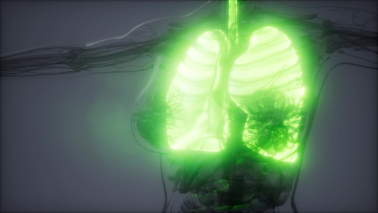 examen radiológico de los pulmones humanos