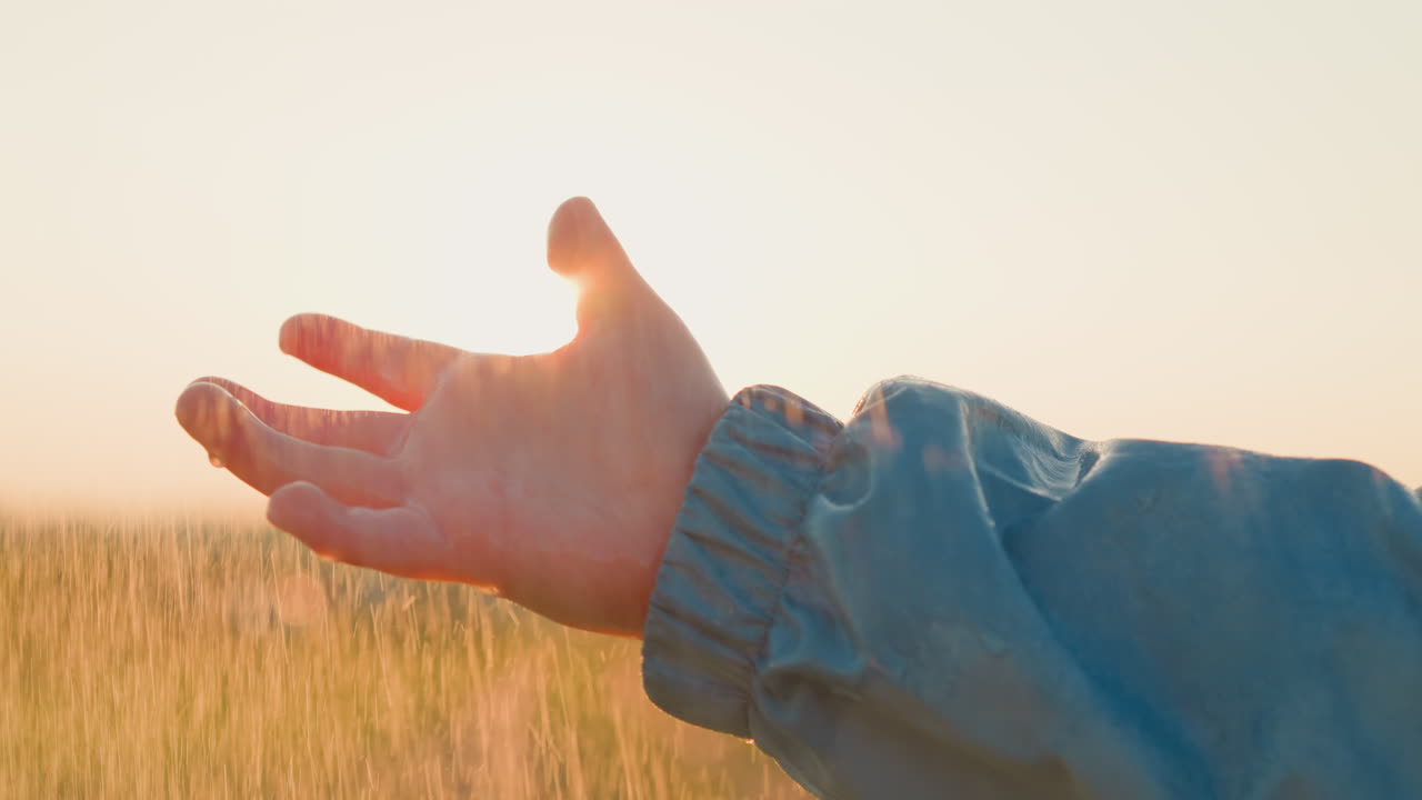 방울 아래 은 소년 손바닥 어린 아이 기은 부드러운 비의 상쾌한 접촉을 즐긴다
