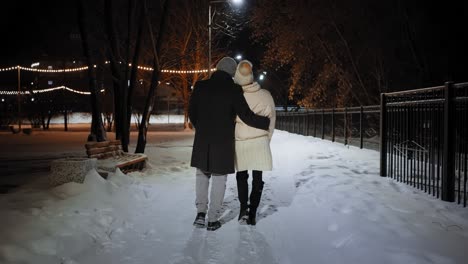 couple walking in snowy park at night