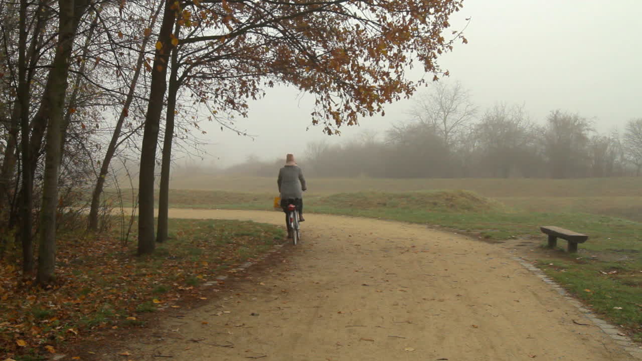A cyclist passes by in a foggy city park