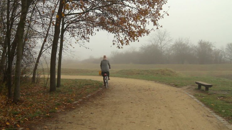 A cyclist passes by in a foggy city park