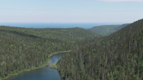 amazing mountain forest of saint anne des mont in quebec - aerial