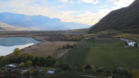 drone aéreo sobre los viñedos sobre el lago caldaro en otoño en tirol del sur