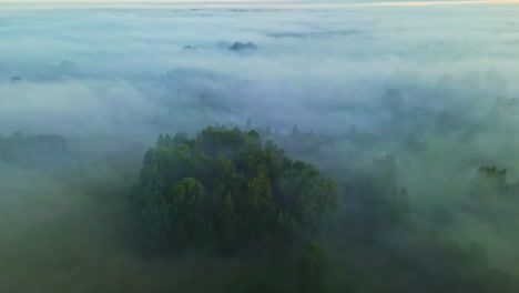 niebla densa sobre la naturaleza paisaje nebuloso sombrío aéreo, bosque de tierra al anochecer