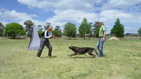 trainer training a shepherd dog in the field 4k