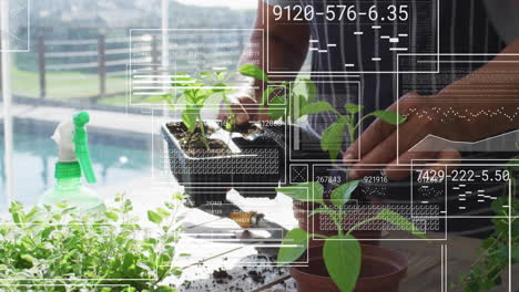 jardinería y plantación de plántulas, análisis de datos animación sobre plantas y manos