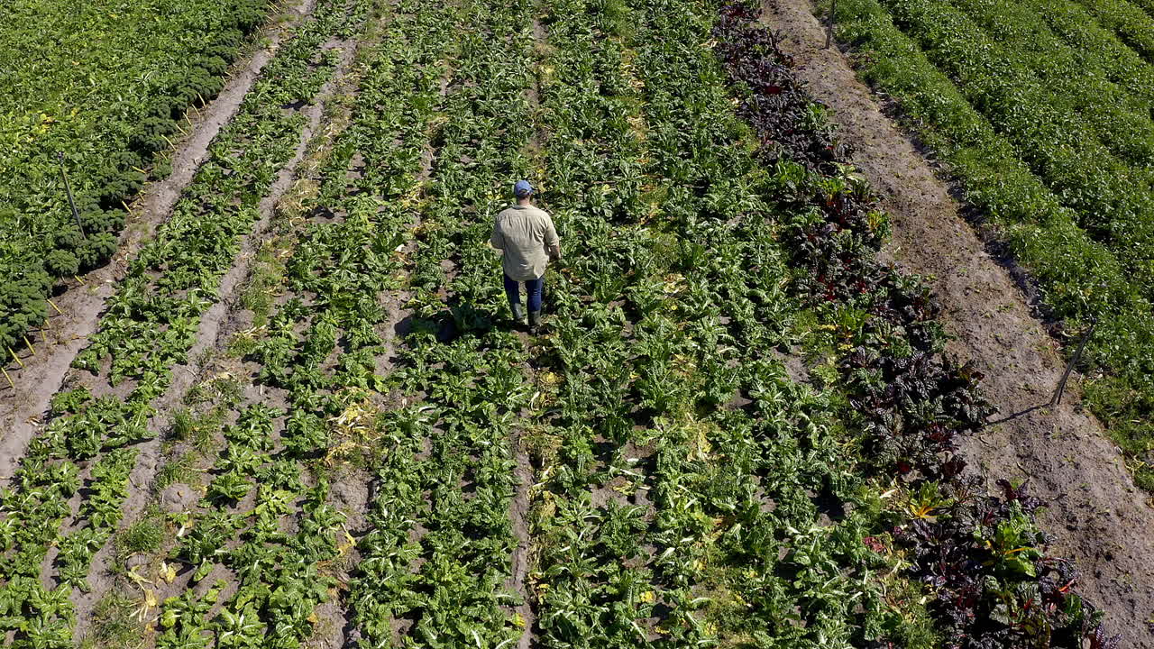 la tierra de trabajo