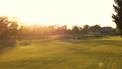 blurry golf field.