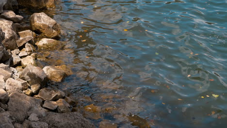 Lake-Challa-is-a-beautiful,-small-fresh-water-lake-located-at-the-border-of-Kenya-and-Tanzania-in-East-Africa