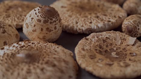 champiñones recogidos a mano macrolepiota procera sobre la mesa, diapositiva, primer plano