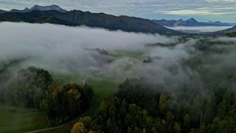 Blick-Auf-Den-Nebligen-Wald-Im-Morgengrauen-Mit-Bergkulisse,-Drohnenaufnahmen-In-Der-Nähe