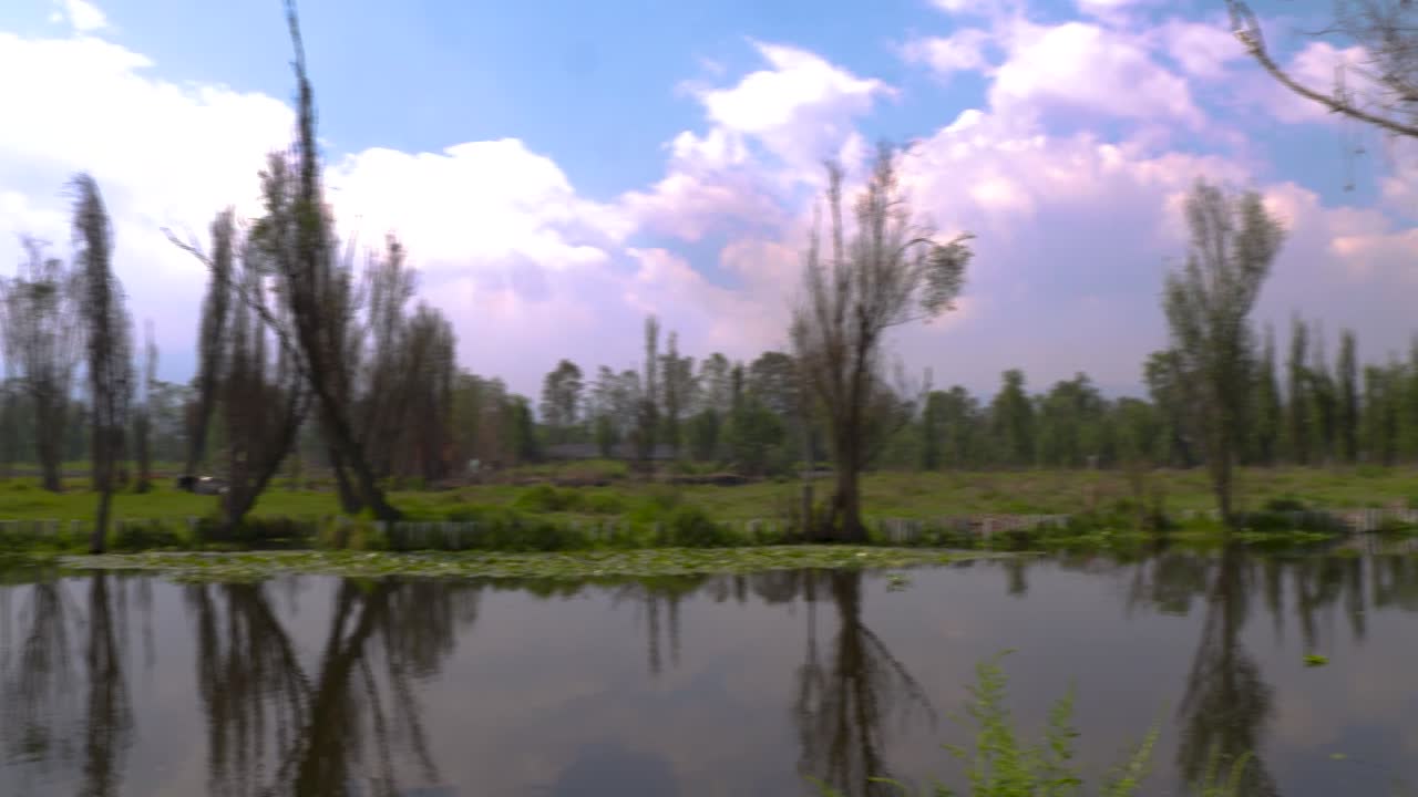 paisaje de los canales de agua de xochimilco