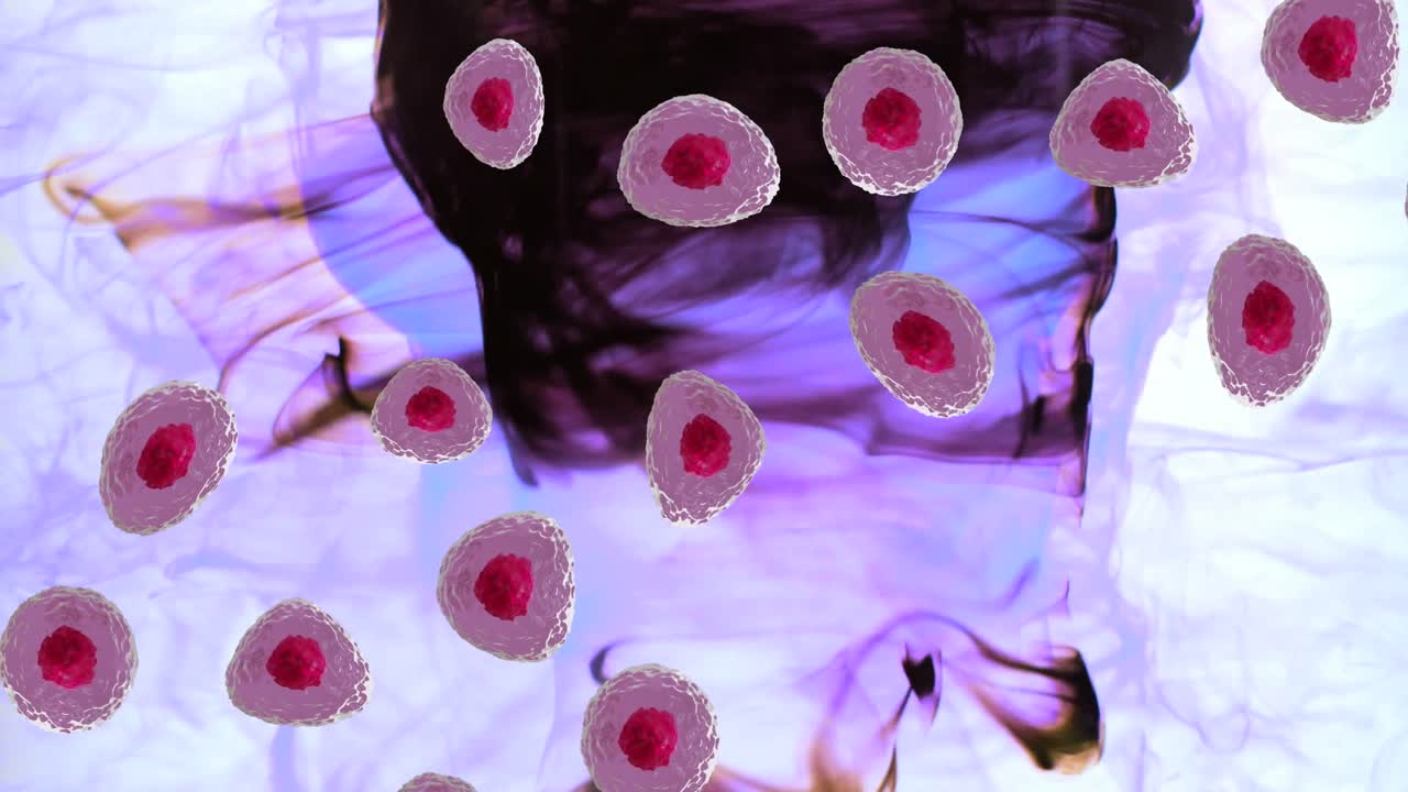 색 배경의 연기 트레일 위에 빨간색과 분홍색 세포의 마이크로의 애니메이션