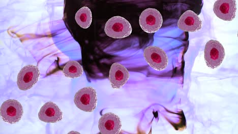 animación de micro de células rojas y rosas sobre rastros de humo sobre fondo blanco