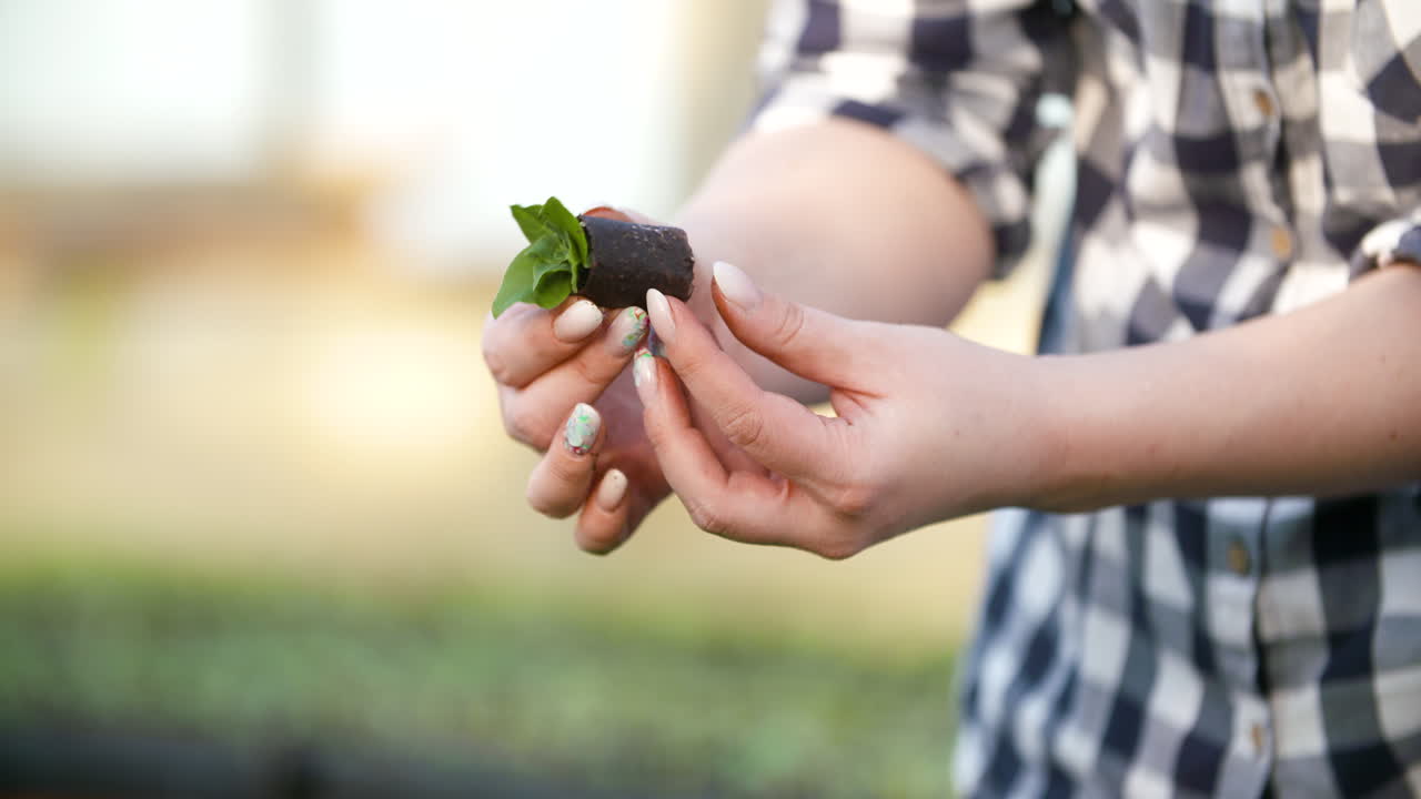 Young Female Botanist Examining Potted Plant 21