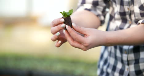 Young-Female-Botanist-Examining-Potted-Plant-21