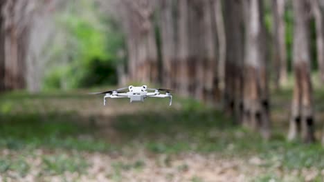 a drone hovers steadily along a tree-lined path in phuket, thailand, showcasing serene natural surroundings and precise aerial control