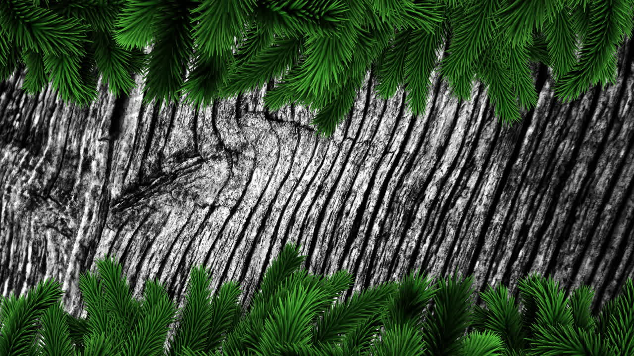 Green pine branches framing weathered wooden texture, creating festive animation