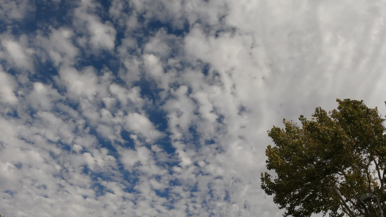 nubes esponjosas que soplan por el cielo en un día ventoso - lapso de tiempo