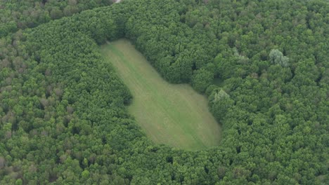 Drone-view-of-cathedral-shape-in-trees-at-Netherlands,-aerial