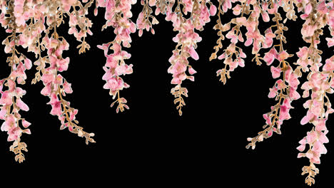 Elegant floral hanging design animated overlay, transparent 4K video, alpha channel, ProRes 4444