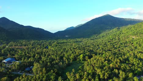 Palm-trees-forest-around-vacations-resort-on-tropical-island-with-green-hills-under-bright-blue-sky-at-sunrise-in-Myanmar