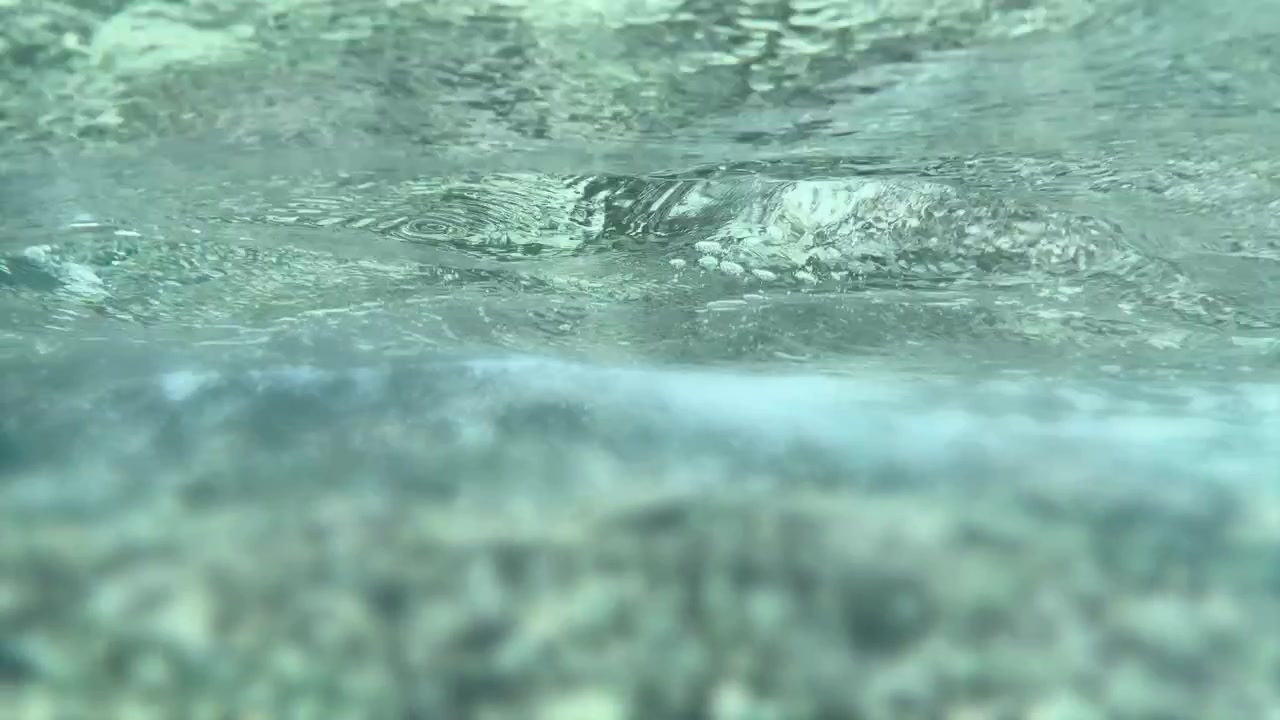 L'acqua limpida e turchese increspa sopra una sfocata barriera corallina tropicale sotto la brillante luce solare naturale.