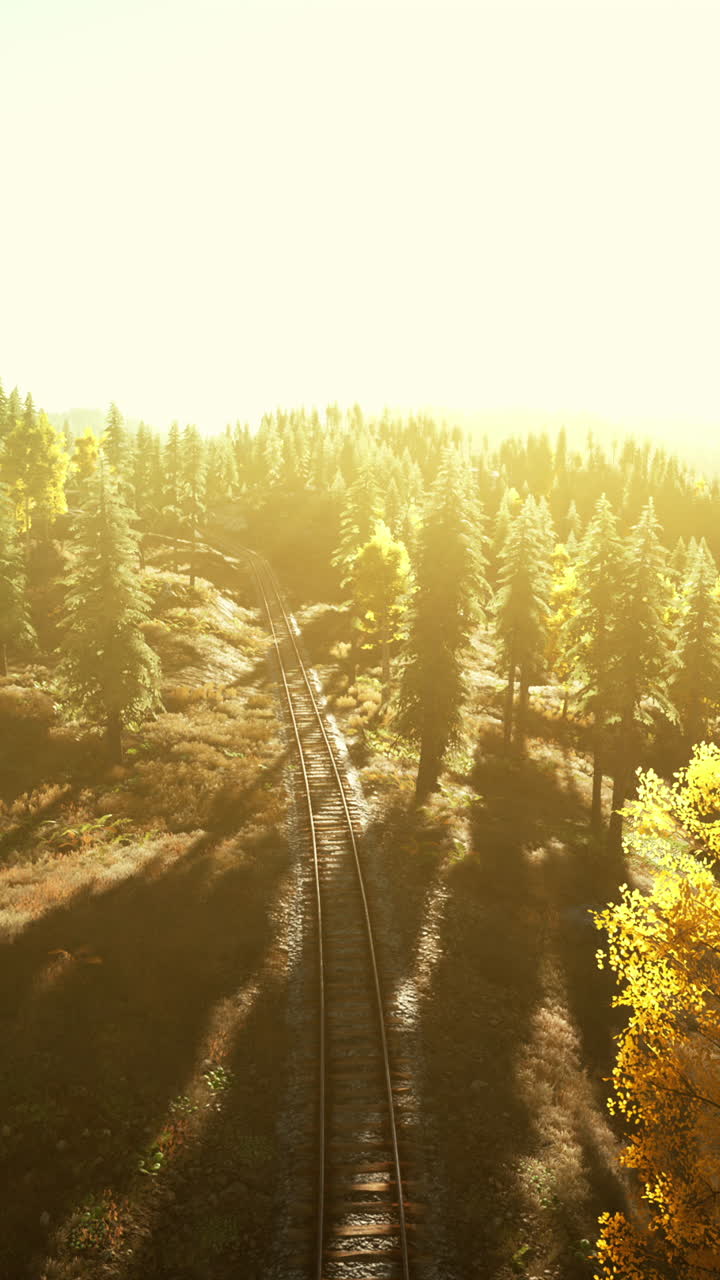 las vías del ferrocarril a través de un bosque dorado