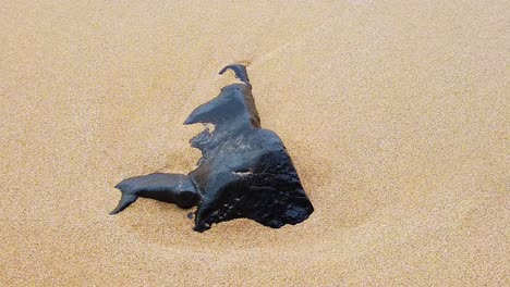 HD-Hawaii-Kauai-Zeitlupenstatik-Der-Spitze-Eines-Felsens,-Der-Am-Strand-Aufragt,-Mit-Kleinen-Wellen,-Die-Von-Oben-Rechts-Und-Rechts-Im-Bild-Einströmen,-Dann-Um-Den-Felsen-Herumwirbeln-Und-Aus-Dem-Bild-Herausgespült-Werden