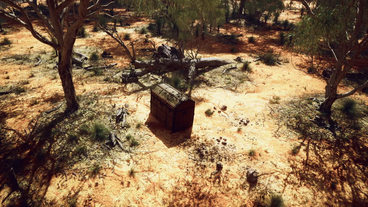 사막 숲 에 있는 은 보물 상자