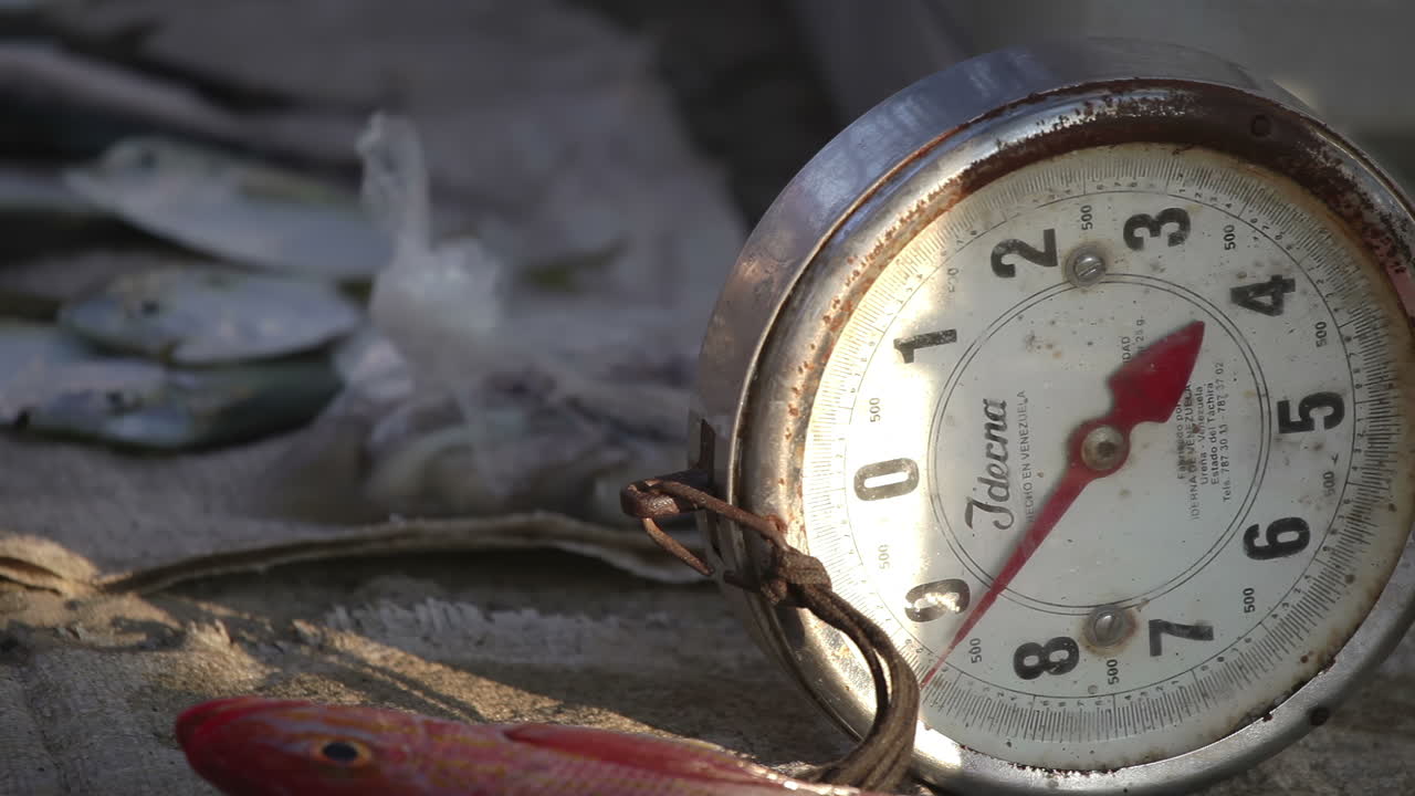 рыбный рынок на побережье в мексике