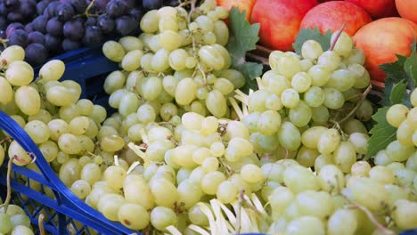 uvas frescas y frutas de verano