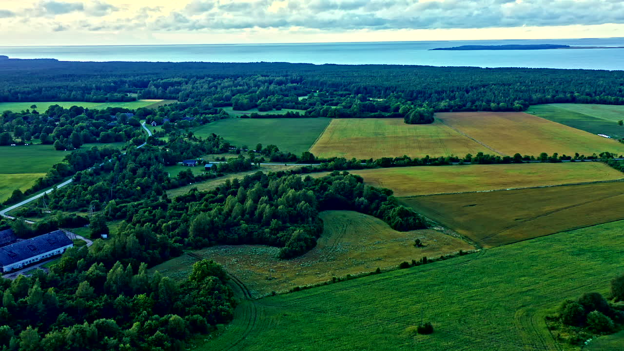 Estonian Landscape with Trees and a Farm and the Sea in the Background, Drone View - Truck Shot