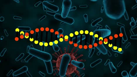 Animation-Eines-DNA-Strangs,-Der-Sich-über-Schwimmende-Covid-19-Zellen-Dreht