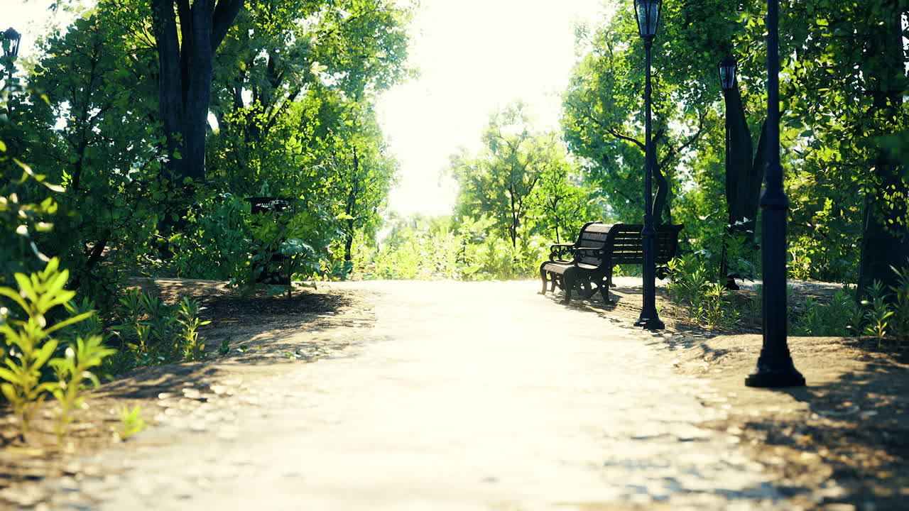 Serene park path illuminated by sunlight with benches and greenery